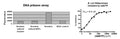 S. pneumoniae DNA Primase Assay Kit – Figure 1 of 1