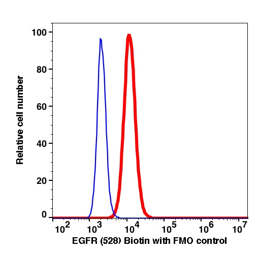 Live HeLa cells stained with Anti-EGFR (528) biotin (SA-FITC) (RED); Live HeLa cells are used as FMO control (BLUE).