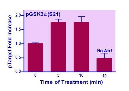 EnzyFluo™ Human/Mouse GSK3A(S21) Phosphorylation ELISA Kit