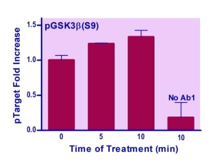 EnzyFluo™ Human/Mouse GSK3B(S9) Phosphorylation ELISA Kit