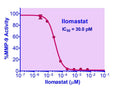 EnzyFluo™ MMP-9 Inhibitor Assay Kit