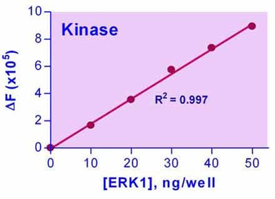 EnzyChrom™ Kinase Assay Kit