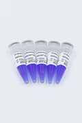 EntiLink™ PCR Master Mix (Blue) – Figure 1 of 2