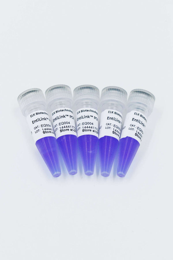 EntiLink™ PCR Master Mix (Blue) – Figure 1 of 2