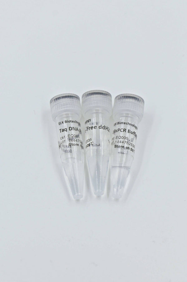 Taq DNA Polymerase – Figure 1 of 3