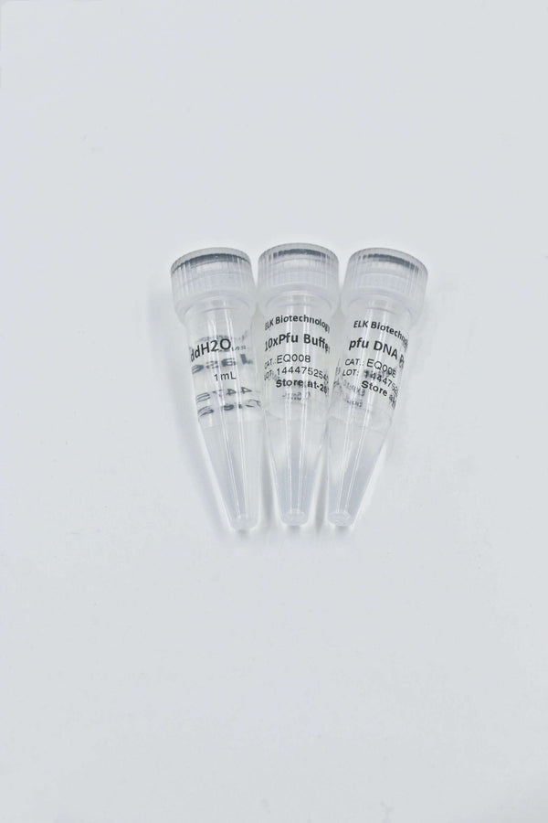 Pfu DNA Polymerase – Figure 1 of 3