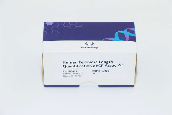 Human Telomere Length Quantification qPCR Assay Kit (Relative) – Figure 1 of 1