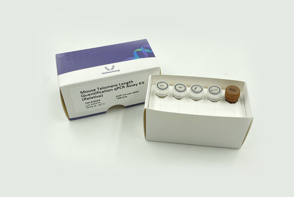 Mouse Telomere Length Quantification qPCR Assay Kit (Relative) – Figure 1 of 2