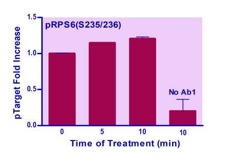 EnzyFluo™ Human/Mouse RPS6(S235/236) Phosphorylation ELISA Kit