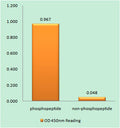 p47-phox (phospho Ser328) rabbit pAb – Figure 1 of 2