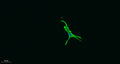 Immunofluorescence analysis of A549.