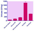 EnzyFluo™ Uricase Assay Kit