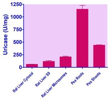 EnzyFluo™ Uricase Assay Kit