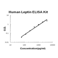 Human Leptin EZ Set ELISA Kit standard curve
