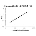 Human CXCL10/IP-10 EZ-Set ELISA Kit standard curve
