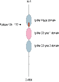Anti-RAGE (extracellular) Antibody