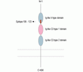 RAGE (extracellular) Blocking Peptide