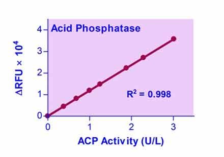 QuantiFluo™ Acid Phosphatase Assay Kit