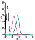 Anti-GPR120/FFAR4 (extracellular)-FITC Antibody