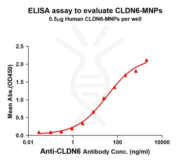Human CLDN6 full length protein -MNP – Figure 1 of 1