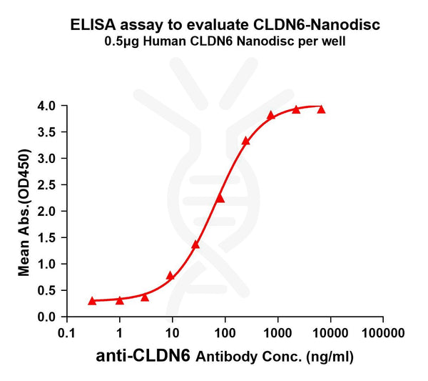 Human CLDN6 full length protein-synthetic nanodisc – Figure 1 of 1