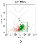 Human CB1 full length protein-MNP – Figure 1 of 1