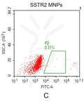 Human SSTR2 full length protein-MNP – Figure 1 of 1