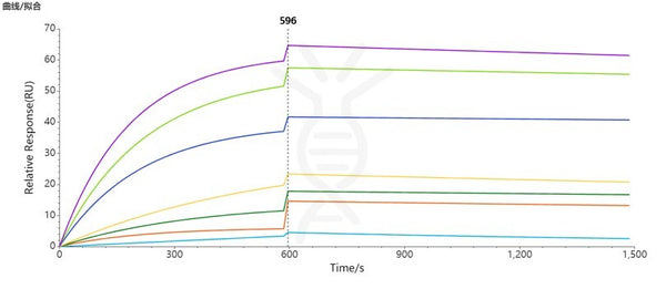 Human CLDN18.2 full length protein-synthetic nanodisc – Figure 1 of 1