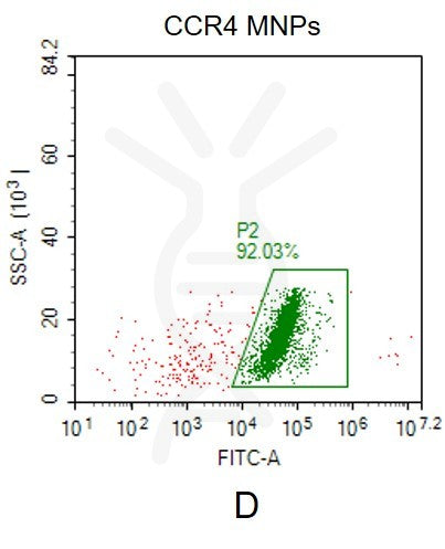 Human CCR4 full length protein-MNP – Figure 1 of 1
