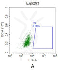 Fluorescent Human CLDN18.2 Full Length Protein-VLP (EGFP) – Figure 1 of 1