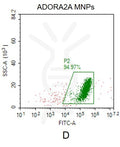 Human ADORA2A full length protein-MNP – Figure 1 of 1