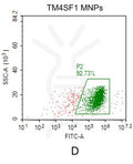 Human TM4SF1 full length protein-MNP – Figure 1 of 1
