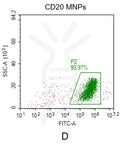 Human CD20 full length protein-MNP – Figure 1 of 1