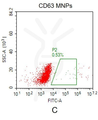 Human CD63 full length protein-MNP – Figure 1 of 1