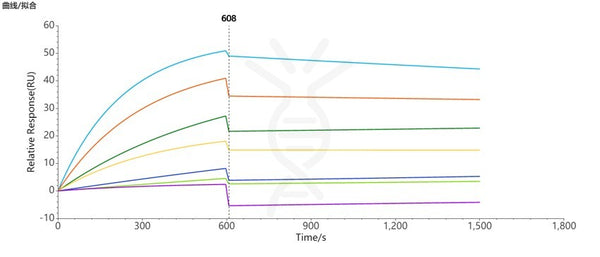 Human CCR8 full length protein-synthetic nanodisc – Figure 1 of 1