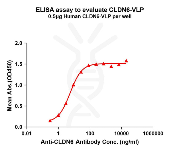 Human CLDN6 full length protein-VLP – Figure 1 of 1