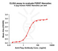 Human P2RX7 full length protein-synthetic nanodisc – Figure 1 of 1