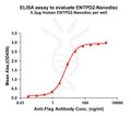 Human ENTPD2 full length protein-synthetic nanodisc – Figure 1 of 1
