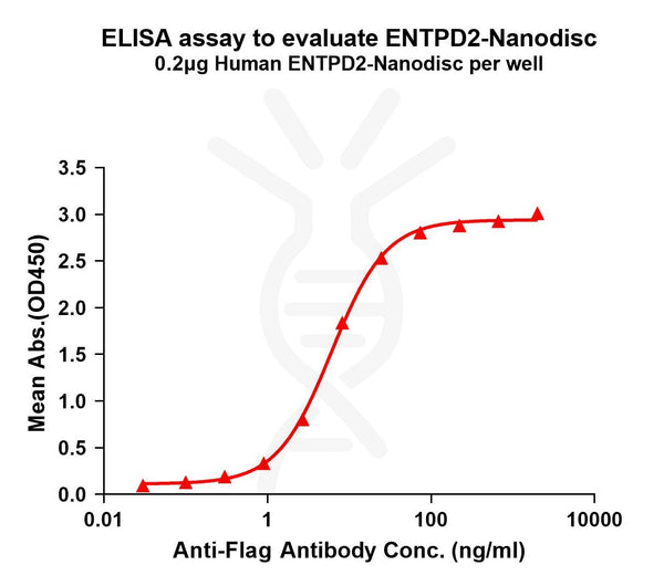 Human ENTPD2 full length protein-synthetic nanodisc – Figure 1 of 1