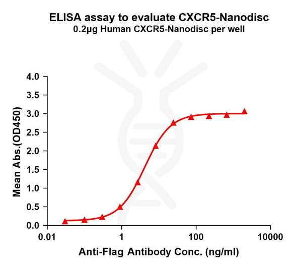 Human CXCR5 full length protein-synthetic nanodisc – Figure 1 of 1