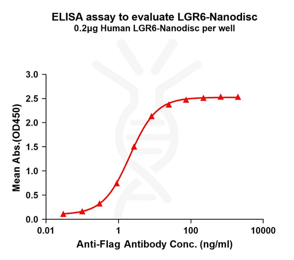 Human LGR6 full length protein-synthetic nanodisc – Figure 1 of 1