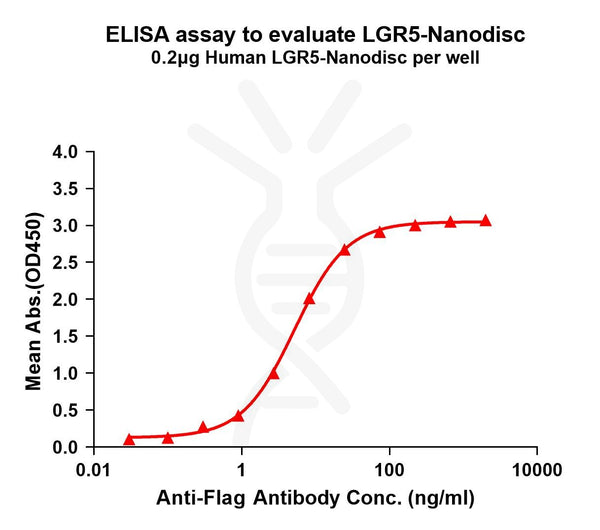 Human LGR5 full length protein-synthetic nanodisc – Figure 1 of 1