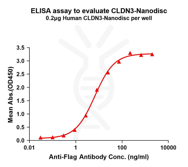 Human CLDN3 full length protein-synthetic nanodisc – Figure 1 of 1