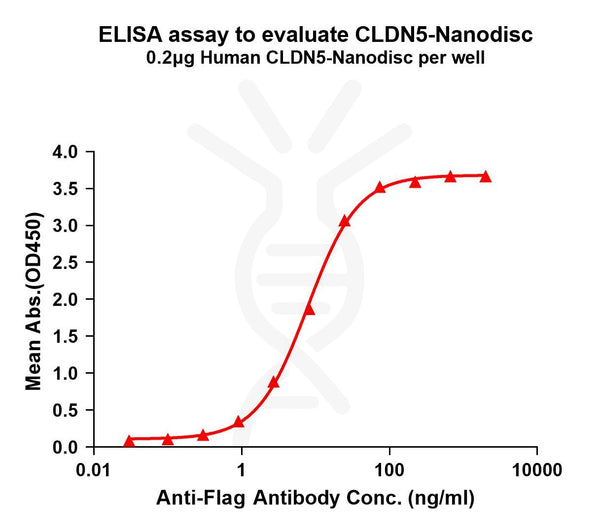Human CLDN5 full length protein-synthetic nanodisc – Figure 1 of 1
