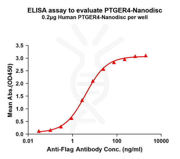 Human PTGER4 full length protein-synthetic nanodisc – Figure 1 of 1