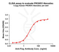 Human PROKR1 full length protein-synthetic nanodisc – Figure 1 of 1