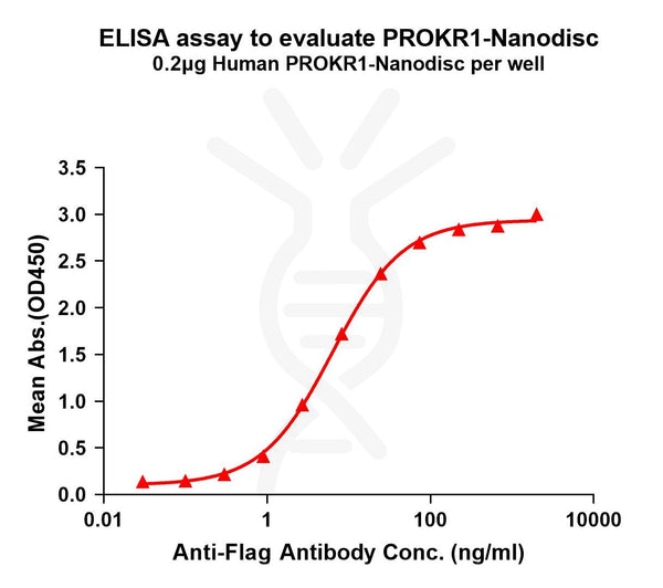 Human PROKR1 full length protein-synthetic nanodisc – Figure 1 of 1