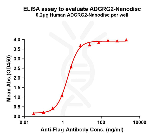Human ADGRG2 full length protein-synthetic nanodisc – Figure 1 of 1