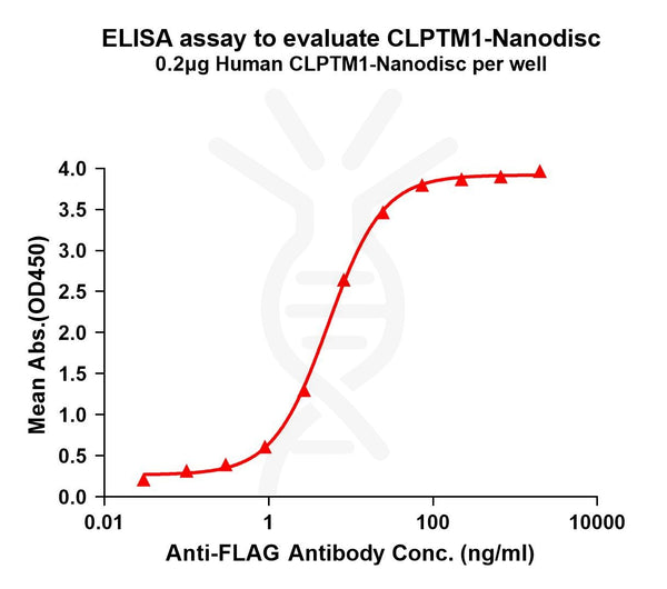 Human CLPTM1 full length protein-synthetic nanodisc – Figure 1 of 1