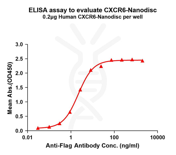 Human CXCR6 full length protein-synthetic nanodisc – Figure 1 of 1